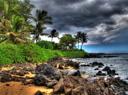 mondo di hawaii Maui carta da parati