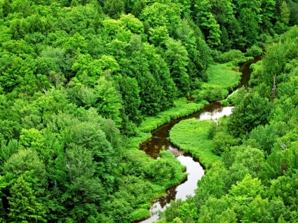sinueux ruisseau fond d'écran paysage nature