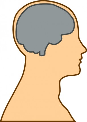Medizinische Diagramm der Gehirn-ClipArt