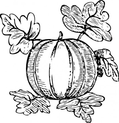 Melone-ClipArt