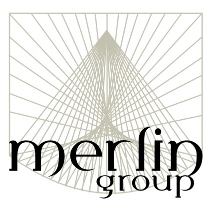 Merlin grubu