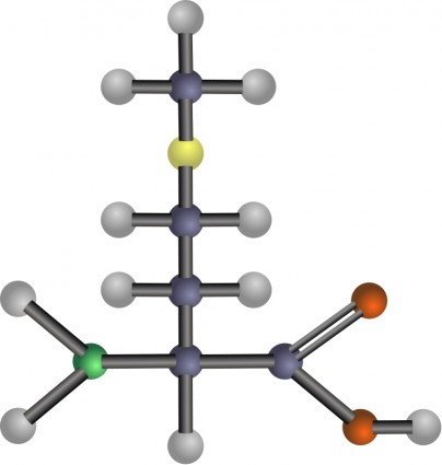 aminokwasu metioniny