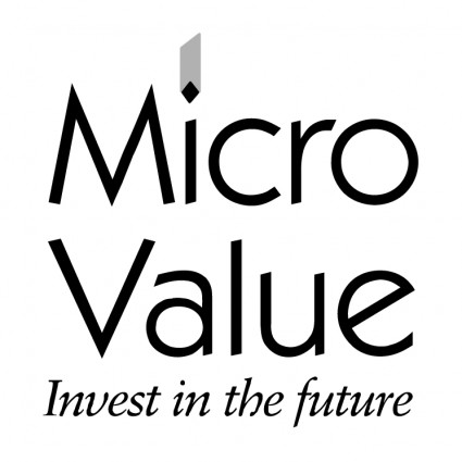 Mikro-value