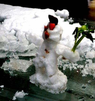 mini boneco de neve