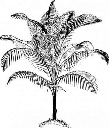 微型椰子棕櫚剪貼畫