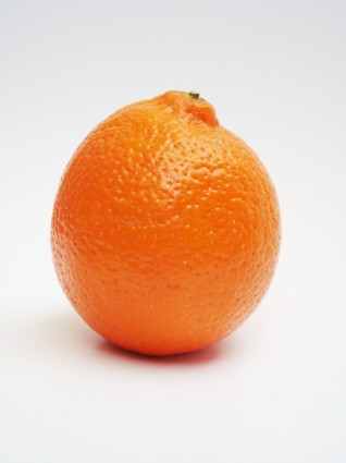 Minneola Zitrusfrucht grapefruit