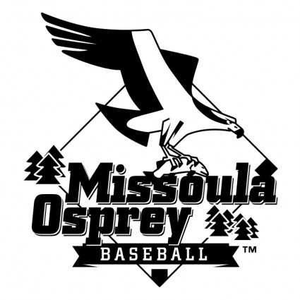 Missoula osprey