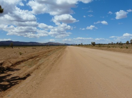 モハーベ砂漠のジョシュア ツリー国立公園の道