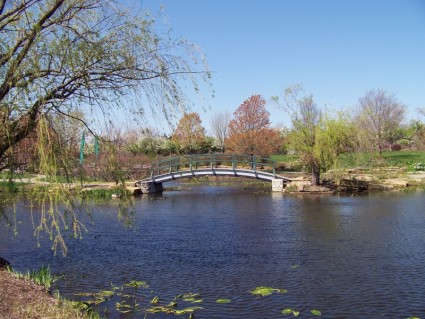 Monet Brücke im park