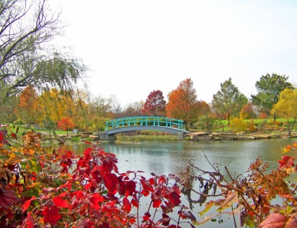 جسر مونيه في الحديقة في الخريف