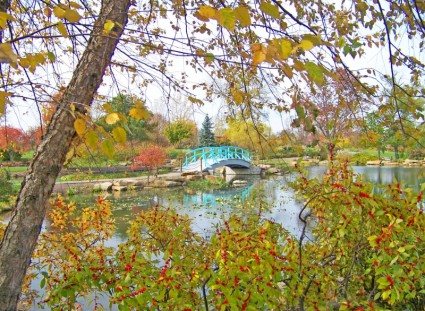 Puente de Monet en el parque en otoño