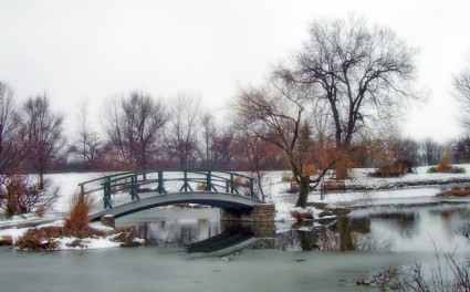 莫奈的画桥公园在雪