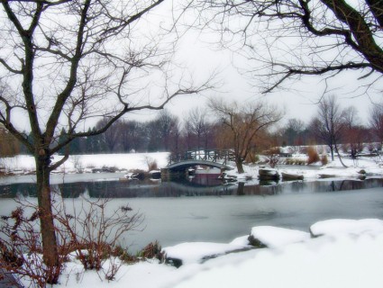 Моне Мост в парке в снегу