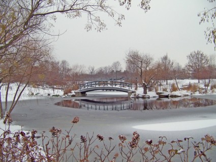 Monet Bridge In Snowcovered Park