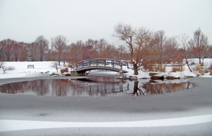 莫奈的画桥在 snowcovered 公园