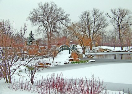 莫内橋在 snowcovered 公園