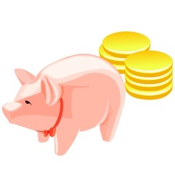cerdo de dinero