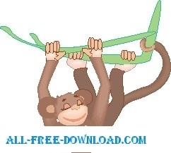 Affen Schwingen von Baum