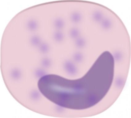 clip-art de monócitos da célula