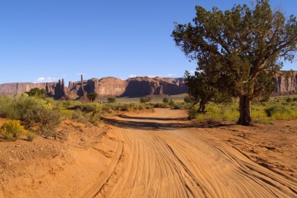 Monument Valley staubigen Straße Baum