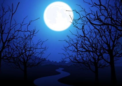 vettore di alberi al chiaro di luna