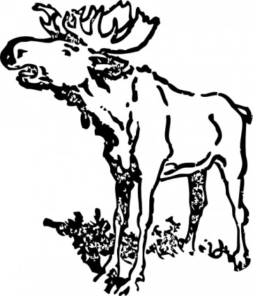 Moose clip art