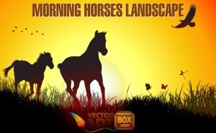 chevaux matin paysage
