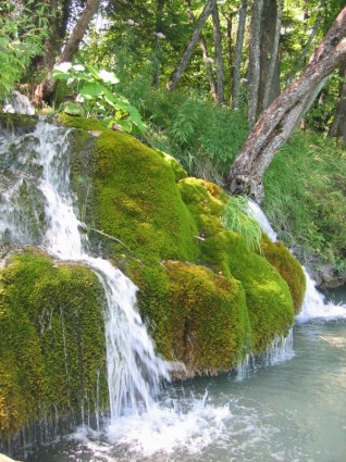 Moos Bach Wasserfall