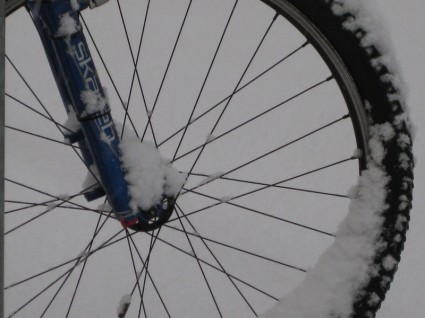rueda de la bici de montaña madura