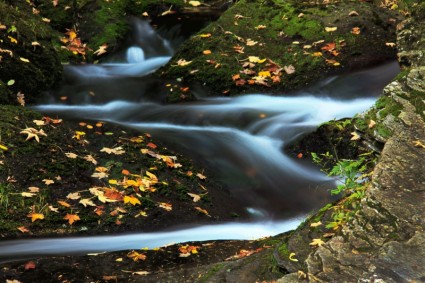山中的小溪在秋天