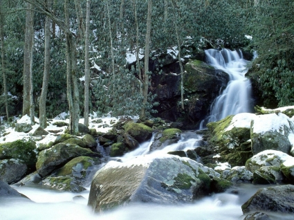 mouse creek falls di musim dingin wallpaper air terjun alam
