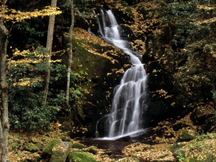 Mouse Creek Falls Wallpaper Waterfalls Nature