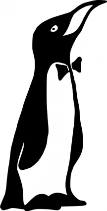 Mr pinguino