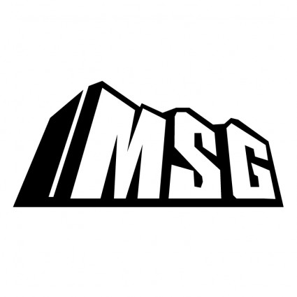 msg-Netzwerk