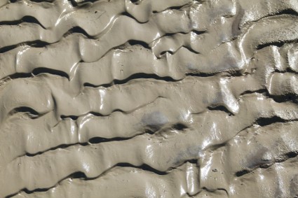 موحل الرمل يلوحون بهيكل يوم ممطر