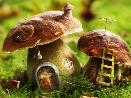 jamur rumah wallpaper foto dimanipulasi alam