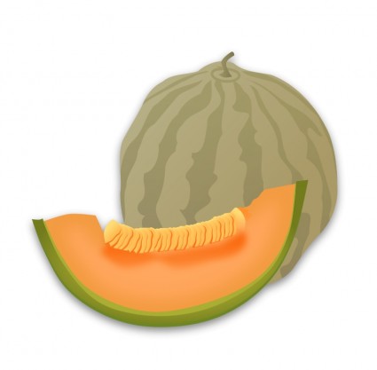 melón de almizcle