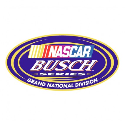 serie de NASCAR busch