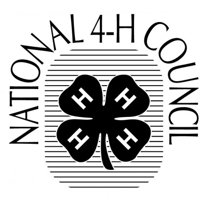 Dewan Nasional h