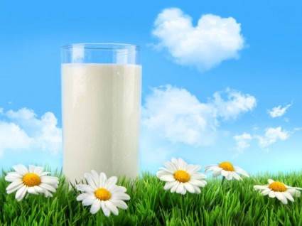 natürliche gute Milch-hd-Bild