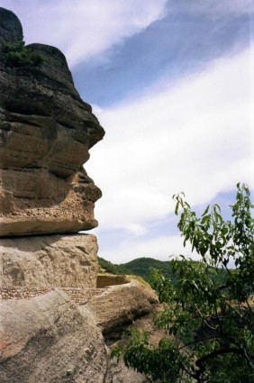 folhagem de rochas de natureza