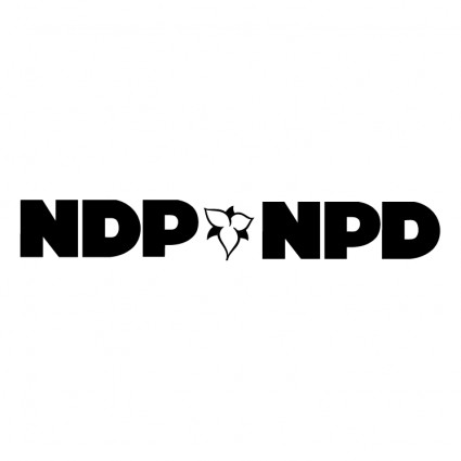 NPDP Fragen Und Antworten