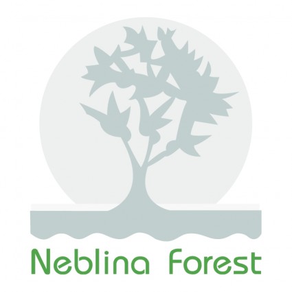 الغابات نيبلينا
