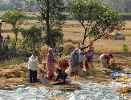 Menschen in Nepal sammeln