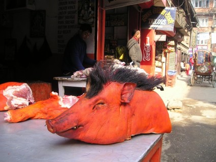 ネパールの豚の頭