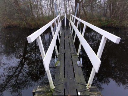 Niederlande-Brücke-Natur