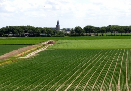 campos de paisaje de Holanda