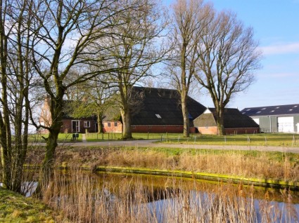 เนเธอร์แลนด์ภูมิทัศน์ต้นไม้บ่อ