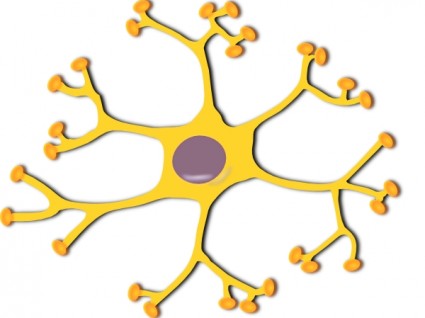 신경 interneuron 클립 아트