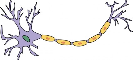 الخلايا العصبية مع إكسون قصاصة فنية